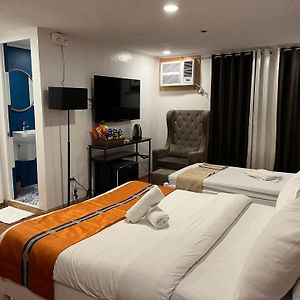 The New View By Ecotel